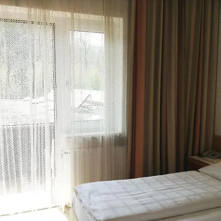 Parkpension Billroth 3* Bad Hall