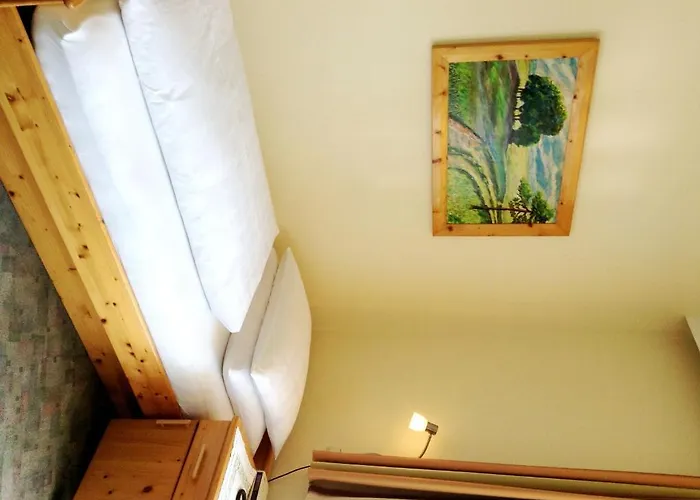 Parkpension Billroth Konukevi