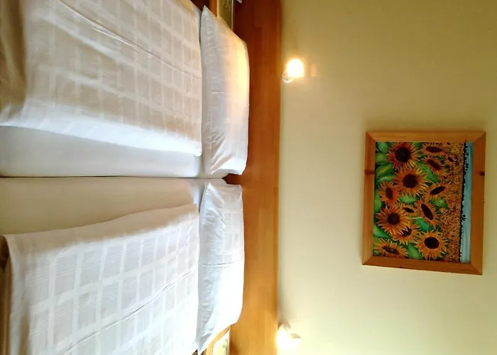 Parkpension Billroth 3* Bad Hall