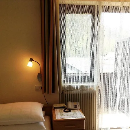 Parkpension Billroth 3*