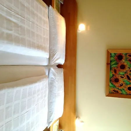 Parkpension Billroth 3* Bad Hall