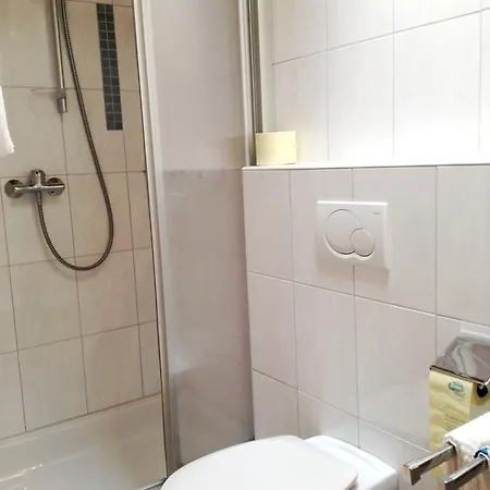 Parkpension Billroth 3* Bad Hall