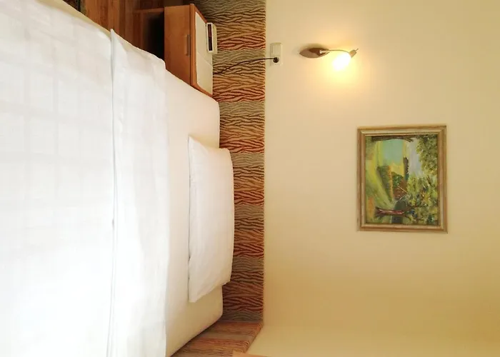 Parkpension Billroth Guest house 3*