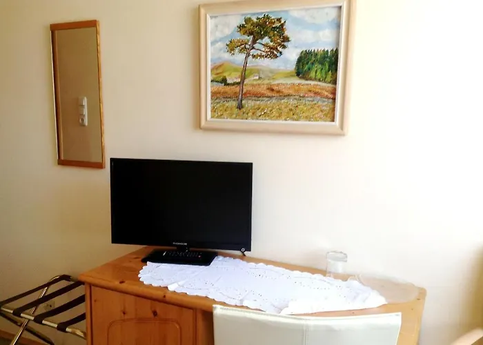 Parkpension Billroth 3*