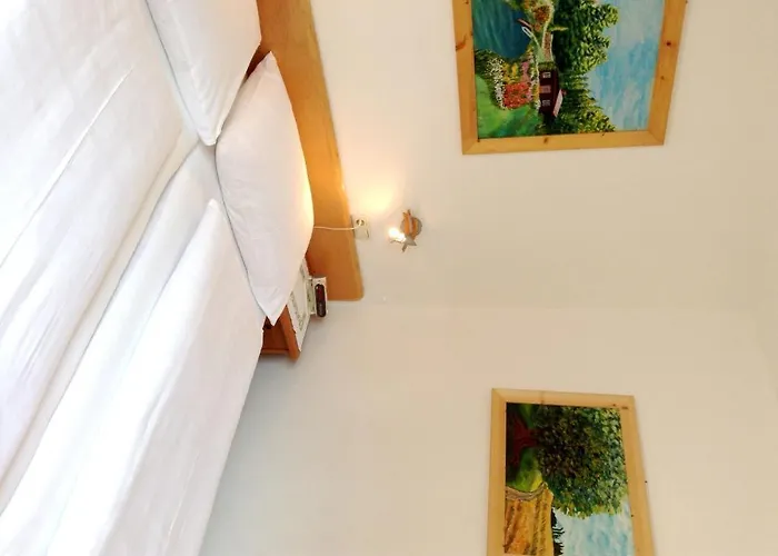 Parkpension Billroth